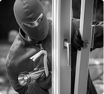 Theft and Property Crimes